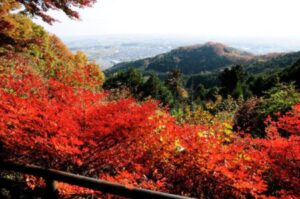 太平山の紅葉の画像