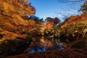 東京都庭園美術館の紅葉ライトアップ画像