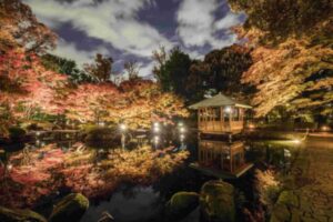 太田黒公園の紅葉ライトアップ画像