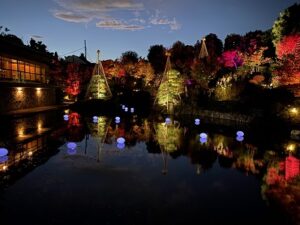 目白庭園の紅葉ライトアップ画像