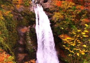 秋保大滝の画像