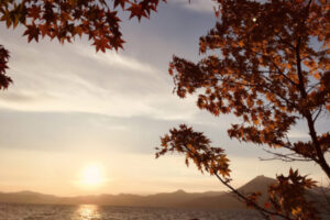 支笏湖の紅葉の画像