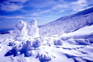 蔵王の樹氷の画像